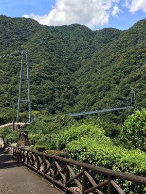宮崎_綾町吊り橋.jpg