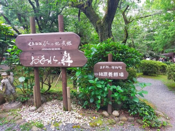 IMG20240608110135.jpg